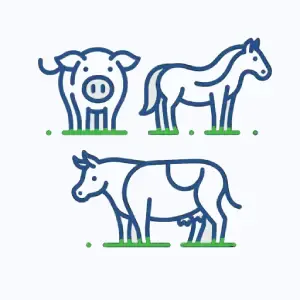 Grafika zwierząt hodowlanych